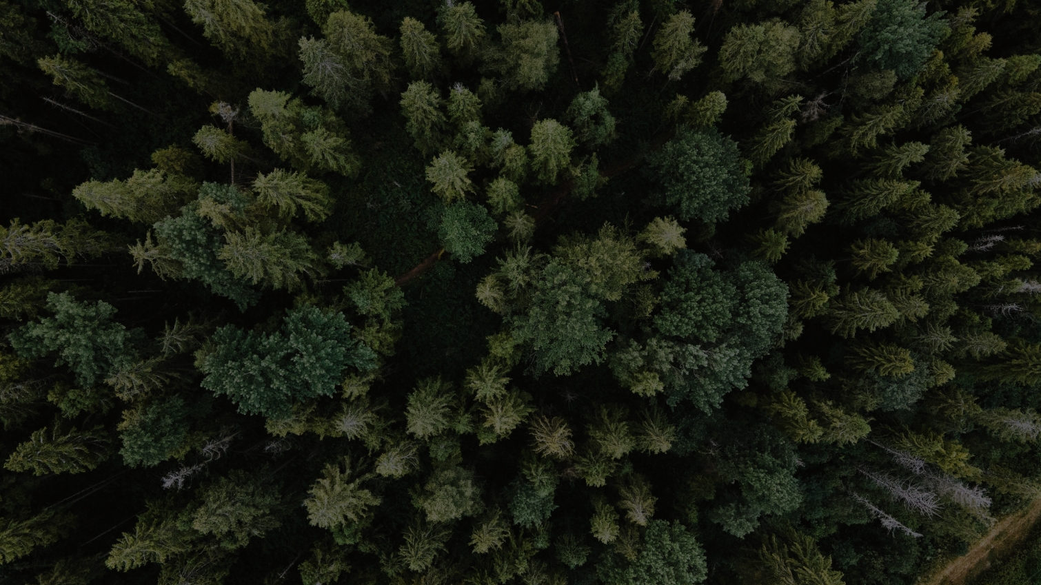 Homepage banner image.